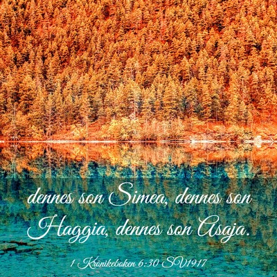 Picture 03 - 1 Krönikeboken 6:30 SV1917 - dennes son Simea, dennes son Haggia, dennes son - Bible Verse Picture