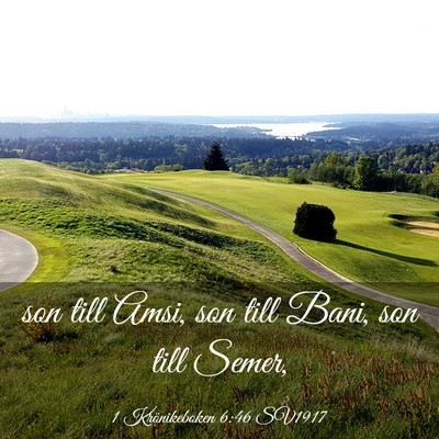 Picture 03 - 1 Krönikeboken 6:46 SV1917 - son till Amsi, son till Bani, son till - Bible Verse Picture