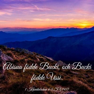 Picture 03 - 1 Krönikeboken 6:5 SV1917 - Abisua födde Bucki, och Bucki födde - Bible Verse Picture