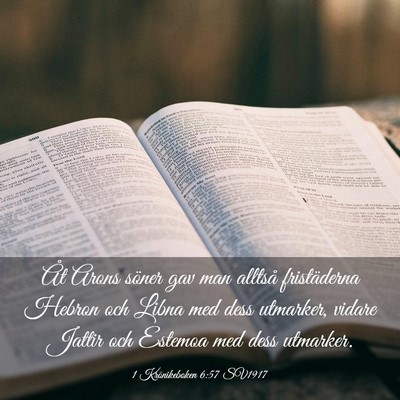 Picture 03 - 1 Krönikeboken 6:57 SV1917 - Åt Arons söner gav man alltså fristäderna - Bible Verse Picture