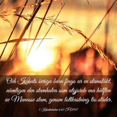 Picture 03 - 1 Krönikeboken 6:61 SV1917 - Och Kehats övriga barn fingo ur en stamsläkt, - Bible Verse Picture