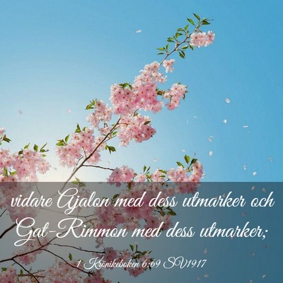 Picture 03 - 1 Krönikeboken 6:69 SV1917 - vidare Ajalon med dess utmarker och Gat-Rimmon - Bible Verse Picture