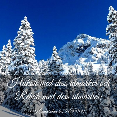 Picture 03 - 1 Krönikeboken 6:75 SV1917 - Hukok med dess utmarker och Rehob med dess - Bible Verse Picture