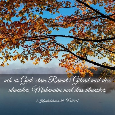 Picture 03 - 1 Krönikeboken 6:80 SV1917 - och ur Gads stam Ramot i Gilead med dess - Bible Verse Picture