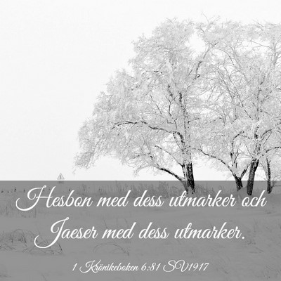 Picture 03 - 1 Krönikeboken 6:81 SV1917 - Hesbon med dess utmarker och Jaeser med dess - Bible Verse Picture