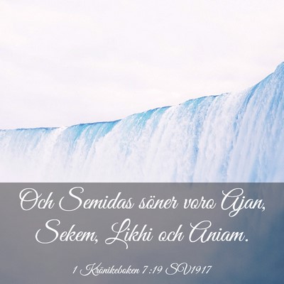 Picture 03 - 1 Krönikeboken 7:19 SV1917 - Och Semidas söner voro Ajan, Sekem, Likhi och - Bible Verse Picture