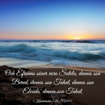Picture 03 - 1 Krönikeboken 7:20 SV1917 - Och Efraims söner voro Sutela, dennes son Bered, - Bible Verse Picture