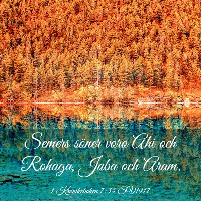 Picture 03 - 1 Krönikeboken 7:34 SV1917 - Semers söner voro Ahi och Rohaga, Jaba och - Bible Verse Picture