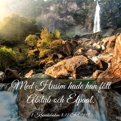 Picture 03 - 1 Krönikeboken 8:11 SV1917 - Med Husim hade han fött Abitub och - Bible Verse Picture