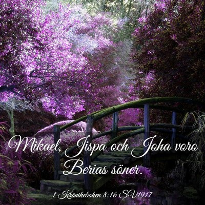 Picture 03 - 1 Krönikeboken 8:16 SV1917 - Mikael, Jispa och Joha voro Berias - Bible Verse Picture