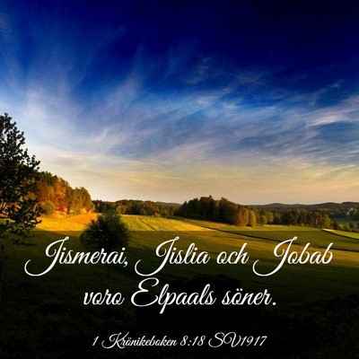 Picture 03 - 1 Krönikeboken 8:18 SV1917 - Jismerai, Jislia och Jobab voro Elpaals - Bible Verse Picture