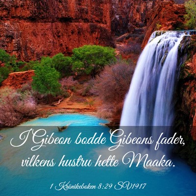 Picture 03 - 1 Krönikeboken 8:29 SV1917 - I Gibeon bodde Gibeons fader, vilkens hustru - Bible Verse Picture