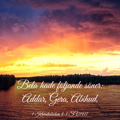 Picture 03 - 1 Krönikeboken 8:3 SV1917 - Bela hade följande söner: Addar, Gera, - Bible Verse Picture