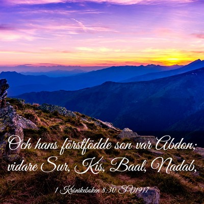 Picture 03 - 1 Krönikeboken 8:30 SV1917 - Och hans förstfödde son var Abdon; vidare Sur, - Bible Verse Picture