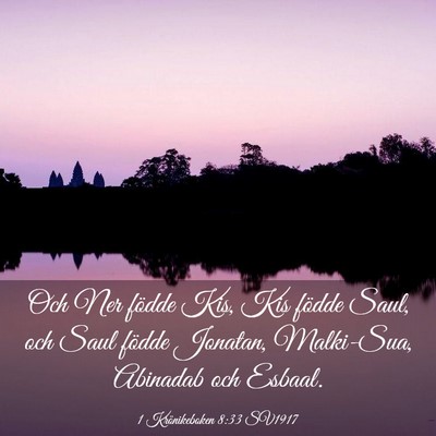 Picture 03 - 1 Krönikeboken 8:33 SV1917 - Och Ner födde Kis, Kis födde Saul, och Saul - Bible Verse Picture