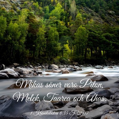 Picture 03 - 1 Krönikeboken 8:35 SV1917 - Mikas söner voro Piton, Melek, Taarea och - Bible Verse Picture