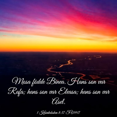 Picture 03 - 1 Krönikeboken 8:37 SV1917 - Mosa födde Binea. Hans son var Rafa; hans son - Bible Verse Picture