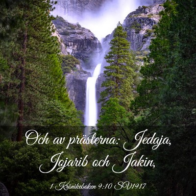 Picture 03 - 1 Krönikeboken 9:10 SV1917 - Och av prästerna: Jedaja, Jojarib och - Bible Verse Picture