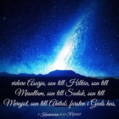 Picture 03 - 1 Krönikeboken 9:11 SV1917 - vidare Asarja, son till Hilkia, son till - Bible Verse Picture