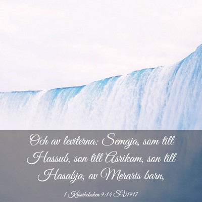 Picture 03 - 1 Krönikeboken 9:14 SV1917 - Och av leviterna: Semaja, som till Hassub, son - Bible Verse Picture