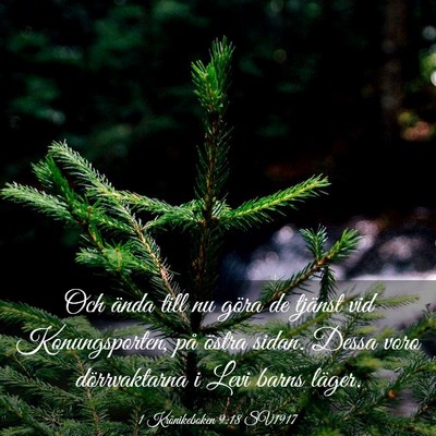 Picture 03 - 1 Krönikeboken 9:18 SV1917 - Och ända till nu göra de tjänst vid - Bible Verse Picture