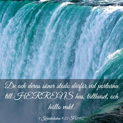 Picture 03 - 1 Krönikeboken 9:23 SV1917 - De och deras söner stodo därför vid portarna - Bible Verse Picture