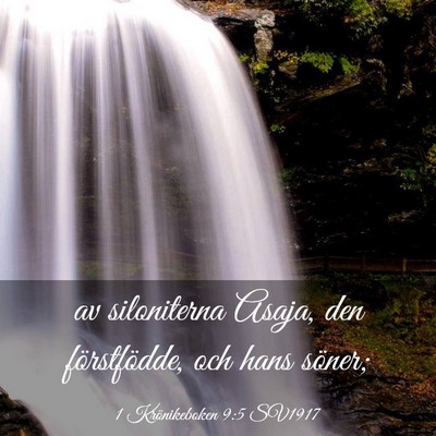 Picture 03 - 1 Krönikeboken 9:5 SV1917 - av siloniterna Asaja, den förstfödde, och hans - Bible Verse Picture