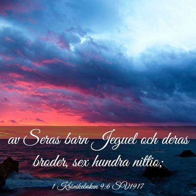 Picture 03 - 1 Krönikeboken 9:6 SV1917 - av Seras barn Jeguel och deras broder, sex hundra - Bible Verse Picture