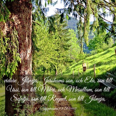 Picture 03 - 1 Krönikeboken 9:8 SV1917 - vidare Jibneja, Jerohams son, och Ela, son till - Bible Verse Picture