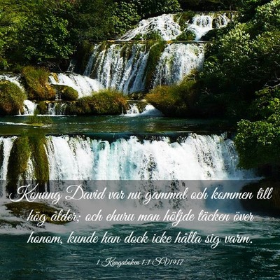 Picture 03 - 1 Kungaboken 1:1 SV1917 - Konung David var nu gammal och kommen till hög - Bible Verse Picture