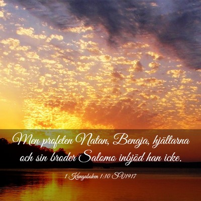Picture 03 - 1 Kungaboken 1:10 SV1917 - Men profeten Natan, Benaja, hjältarna och sin - Bible Verse Picture