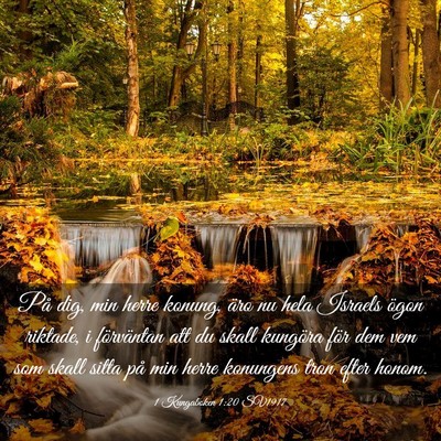 Picture 03 - 1 Kungaboken 1:20 SV1917 - På dig, min herre konung, äro nu hela Israels - Bible Verse Picture