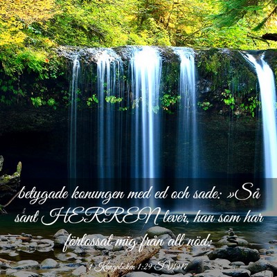 Picture 03 - 1 Kungaboken 1:29 SV1917 - betygade konungen med ed och sade: »Så sant - Bible Verse Picture