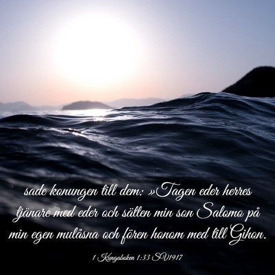 Picture 03 - 1 Kungaboken 1:33 SV1917 - sade konungen till dem: »Tagen eder herres - Bible Verse Picture