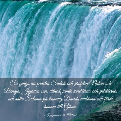 Picture 03 - 1 Kungaboken 1:38 SV1917 - Så gingo nu prästen Sadok och profeten Natan - Bible Verse Picture