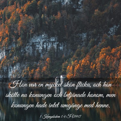 Picture 03 - 1 Kungaboken 1:4 SV1917 - Hon var en mycket skön flicka, och hon skötte - Bible Verse Picture