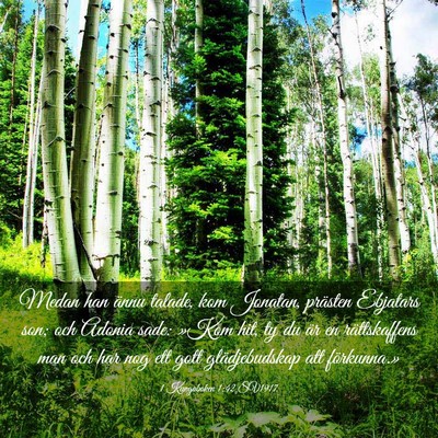 Picture 03 - 1 Kungaboken 1:42 SV1917 - Medan han ännu talade, kom Jonatan, prästen - Bible Verse Picture