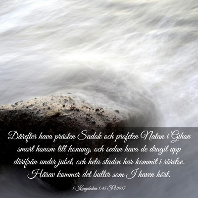 Picture 03 - 1 Kungaboken 1:45 SV1917 - Därefter hava prästen Sadok och profeten Natan - Bible Verse Picture
