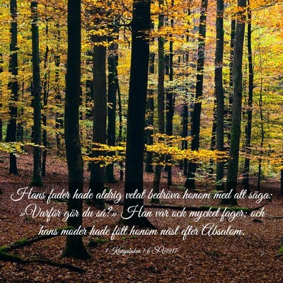 Picture 03 - 1 Kungaboken 1:6 SV1917 - Hans fader hade aldrig velat bedröva honom med - Bible Verse Picture