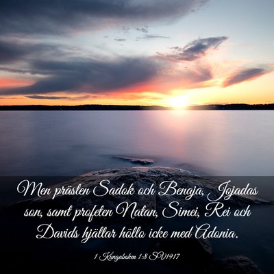 Picture 03 - 1 Kungaboken 1:8 SV1917 - Men prästen Sadok och Benaja, Jojadas son, samt - Bible Verse Picture