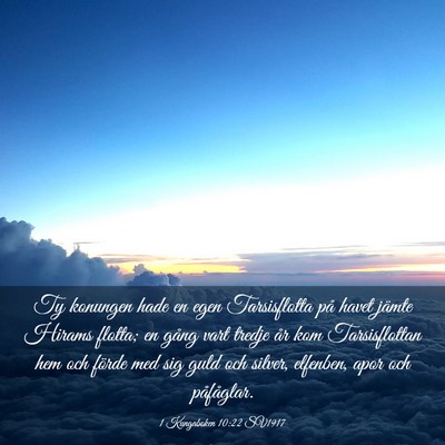 Picture 03 - 1 Kungaboken 10:22 SV1917 - Ty konungen hade en egen Tarsisflotta på havet - Bible Verse Picture