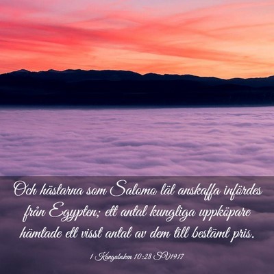 Picture 03 - 1 Kungaboken 10:28 SV1917 - Och hästarna som Salomo lät anskaffa infördes - Bible Verse Picture
