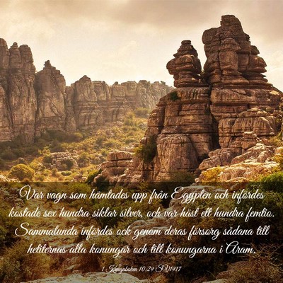 Picture 03 - 1 Kungaboken 10:29 SV1917 - Var vagn som hämtades upp från Egypten och - Bible Verse Picture