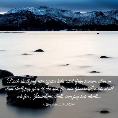 Picture 03 - 1 Kungaboken 11:13 SV1917 - Dock skall jag icke rycka hela riket ifrån - Bible Verse Picture