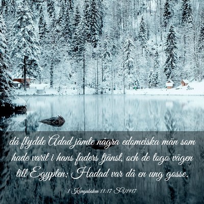 Picture 03 - 1 Kungaboken 11:17 SV1917 - då flydde Adad jämte några edomeiska män som - Bible Verse Picture
