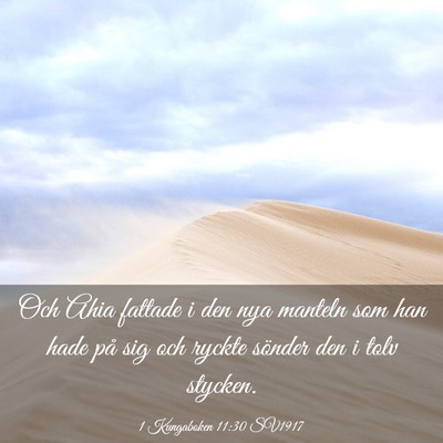 Picture 03 - 1 Kungaboken 11:30 SV1917 - Och Ahia fattade i den nya manteln som han hade - Bible Verse Picture