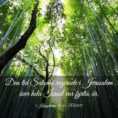 Picture 03 - 1 Kungaboken 11:42 SV1917 - Den tid Salomo regerade i Jerusalem över hela - Bible Verse Picture
