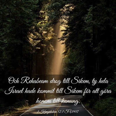 Picture 03 - 1 Kungaboken 12:1 SV1917 - Och Rehabeam drog till Sikem, ty hela Israel hade - Bible Verse Picture