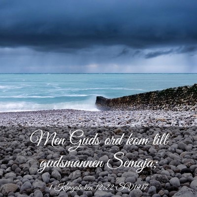 Picture 03 - 1 Kungaboken 12:22 SV1917 - Men Guds ord kom till gudsmannen - Bible Verse Picture