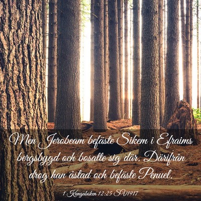 Picture 03 - 1 Kungaboken 12:25 SV1917 - Men Jerobeam befäste Sikem i Efraims bergsbygd - Bible Verse Picture